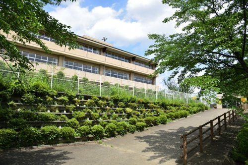 飯能市立美杉台小学校の画像