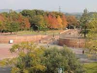 大阪府営 寝屋川公園の画像
