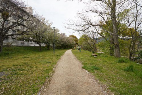 石手川公園の画像