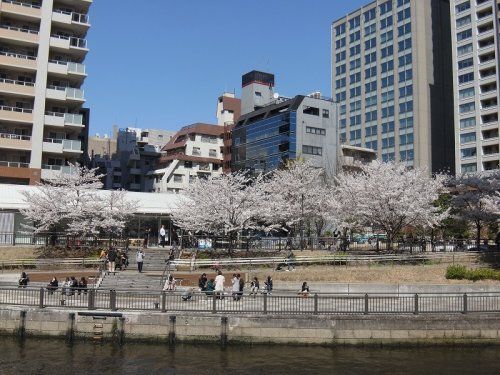 しながわ花海道水辺広場の画像