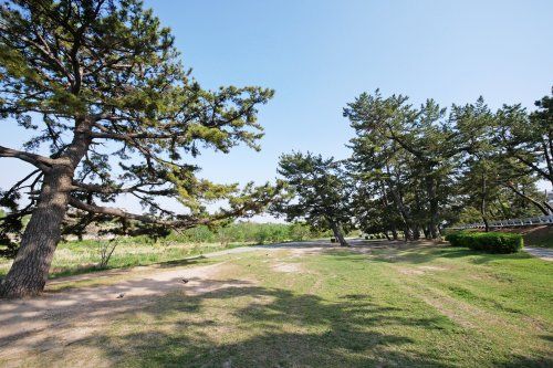 武庫川サイクリングロード（一里山）の画像