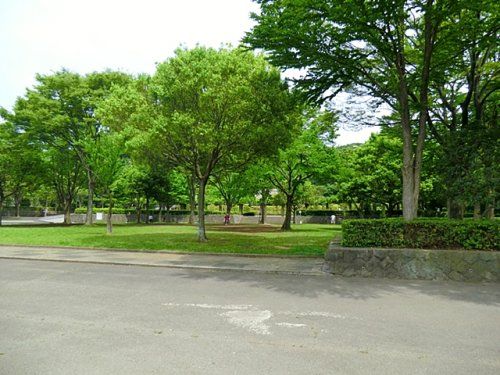 新林公園の画像