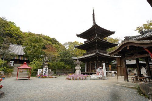 石手寺の画像