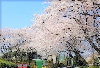 練馬区立土支田庭球場の画像