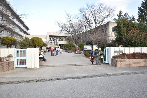 藤塚小学校の画像