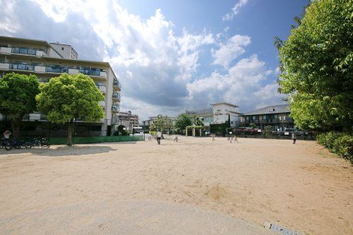 春日丘公園の画像