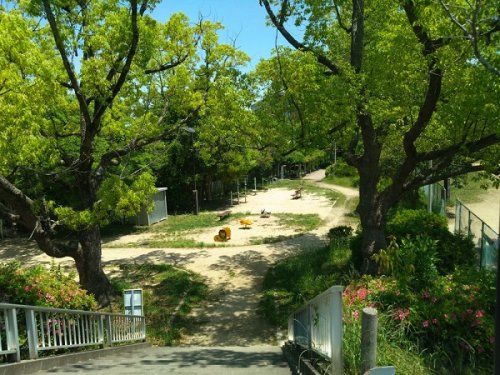 東大池公園の画像