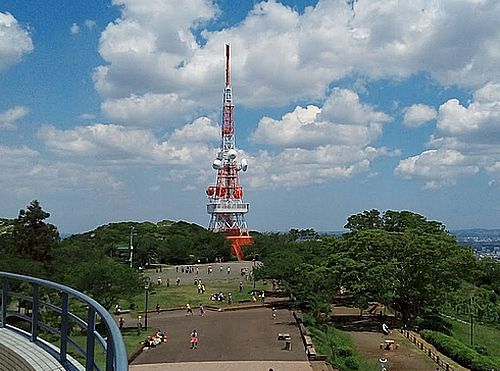 湘南平(高麗山公園)の画像