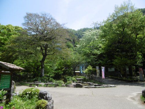岐阜公園の画像