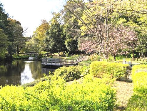 道保川公園の画像