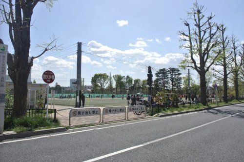 中野区立南台いちょう公園の画像