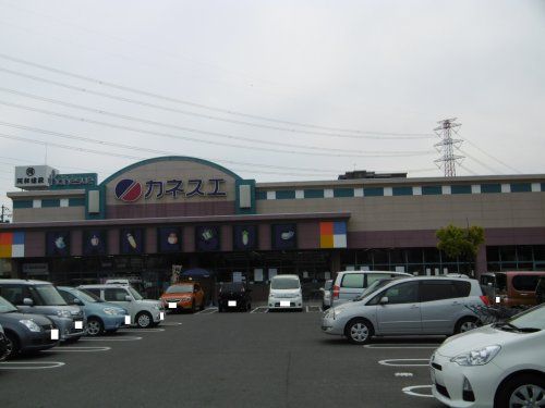 カネスエ岐大前店の画像