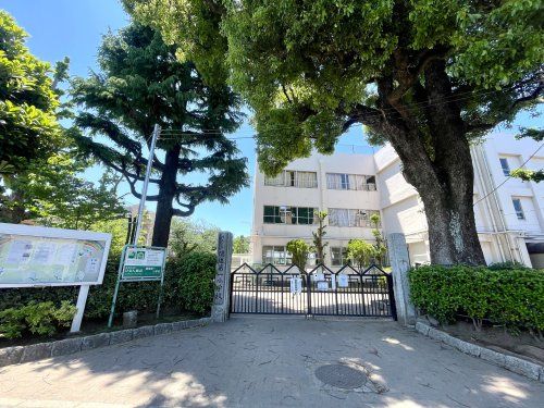 練馬区立開進第一小学校の画像