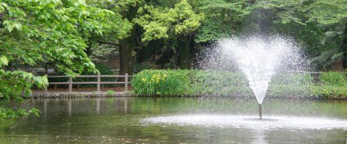 都立和田堀公園の画像