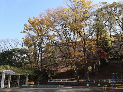御幣公園の画像