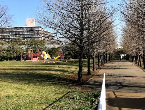 御殿辺公園の画像