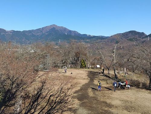 弘法山公園の画像