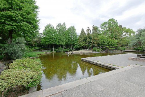 近松公園の画像