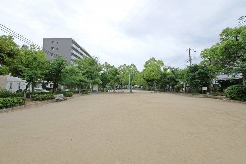 亀田公園の画像