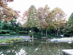 近松公園の画像