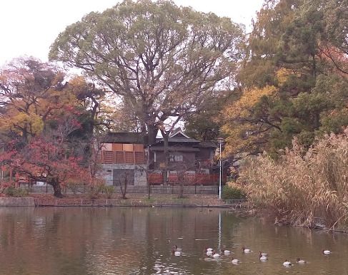 桃ケ池公園の画像