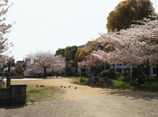 長池公園の画像