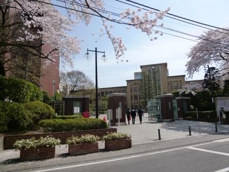私立日本大学文理学部の画像