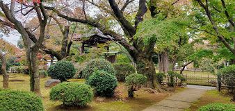 世田谷城阯公園の画像