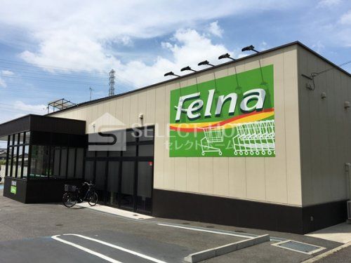 Felna(フェルナ) 柱店の画像