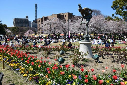 鶴舞公園の画像