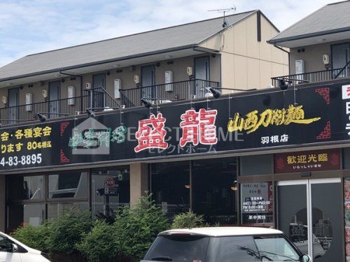 盛龍 羽根店の画像