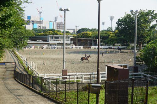 三ツ沢公園馬術練習場の画像