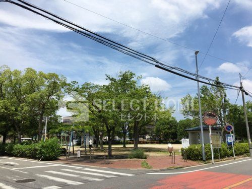 祈祷野公園の画像