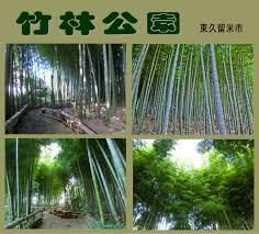 竹林公園の画像