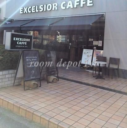 エクセルシオールカフェ新宿損保ジャパンビル店の画像