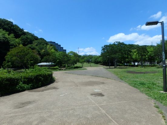 山田富士公園の画像