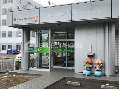 ハーズ岡崎調剤薬局北斗店の画像