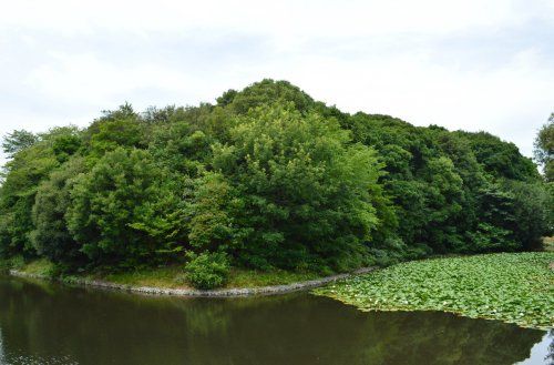 王塚公園の画像