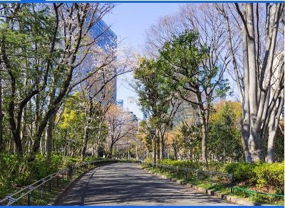 新宿中央公園の画像