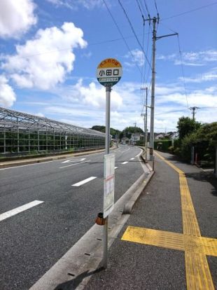 小田口バス停の画像