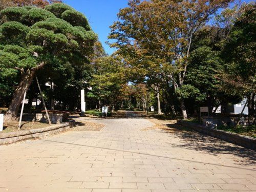 千葉公園（松波側）の画像