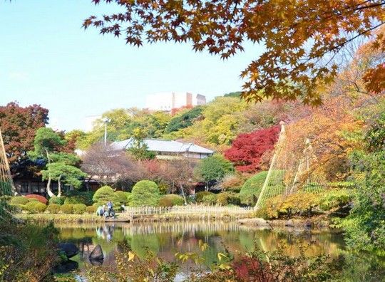 新江戸川公園の画像