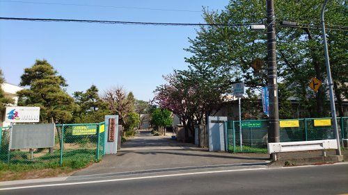 市川市立中国分小学校の画像