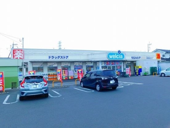 ウエルシア太田鳥山店の画像