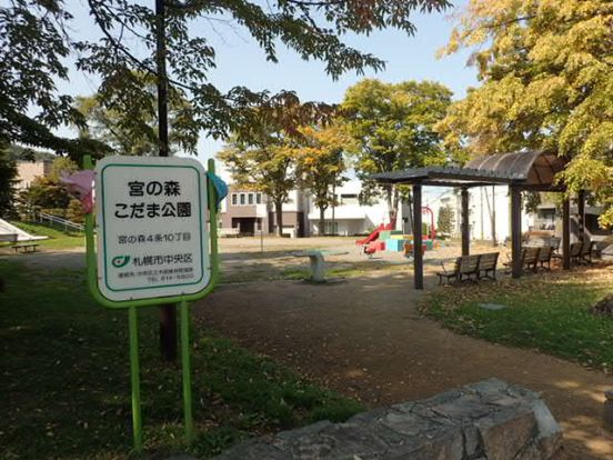 宮の森こだま公園の画像