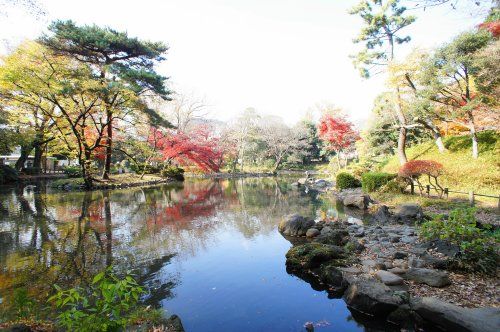 有栖川宮記念公園の画像