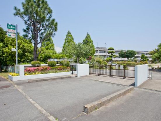 成田市立玉造小学校の画像