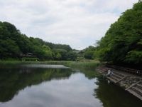 泉の森公園の画像