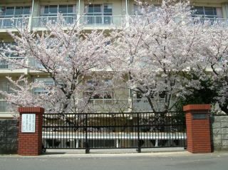 千葉市立宮野木小学校の画像