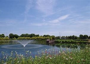中池公園の画像